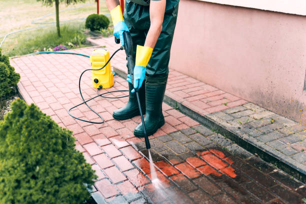 Best Patio and Deck Pressure Washing  in Alamogordo, NM